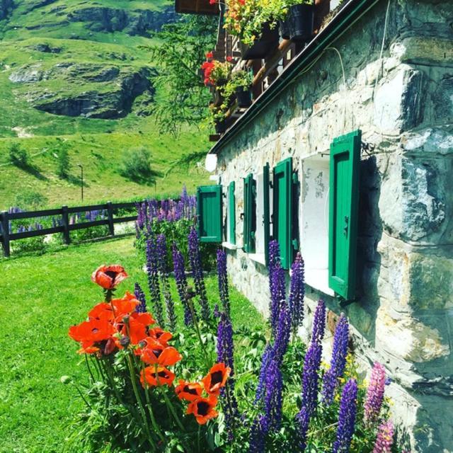 At The Foot Of Cervino Cir 0832 Cin Itoo7071C2K3Fq9Xbg Daire Breuil-Cervinia Dış mekan fotoğraf